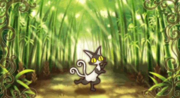 パンダ猫1.jpg