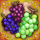 ブドウ盛り合わせ小.gif