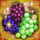 豪華ブドウ盛り合わせ小.gif