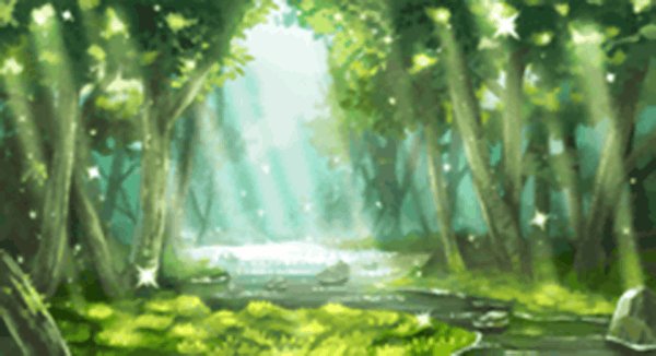 森の泉 上流.jpg