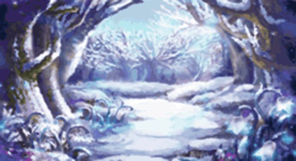 雪の森１.jpg